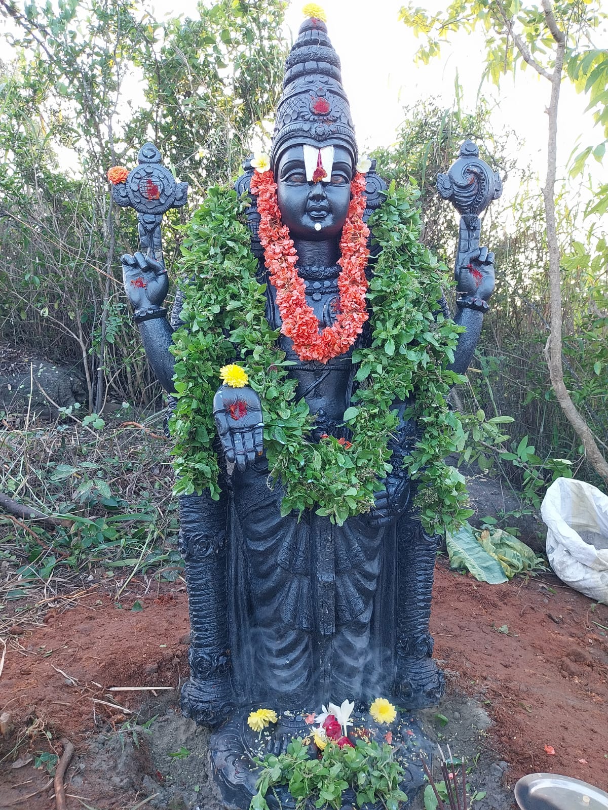 WhatsApp Image 2025-10-09 at 16.54.54 (1)